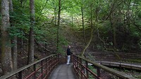SAM_0382