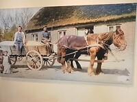 SAM_0305