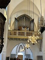 IMG_5251