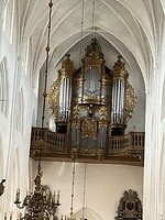 IMG_5271