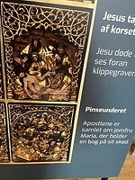 IMG_5269