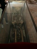 IMG_5276