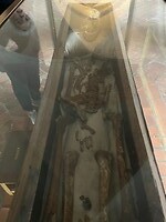 IMG_5277