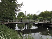 SAM_0312