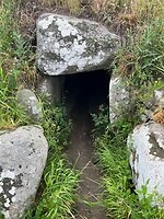 IMG_5284