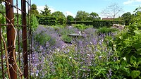 SAM_0505