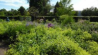 SAM_0506