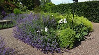 SAM_0507