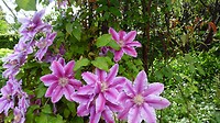 SAM_0504