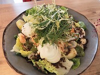 SAM_0376