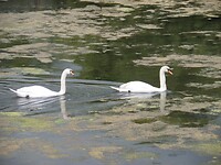 SAM_0371