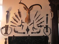 SAM_0336