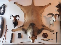 SAM_0339