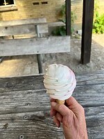 IMG_5317