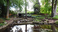 SAM_0467
