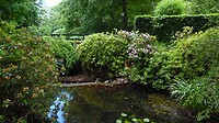 SAM_0466