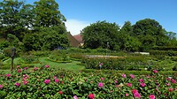SAM_0473