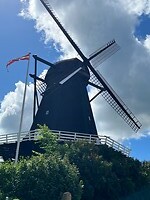 IMG_5338