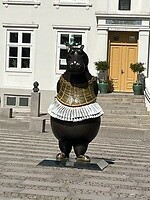 IMG_5336