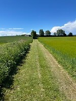 IMG_5341