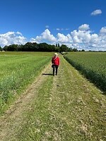 IMG_5342