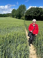 IMG_5344
