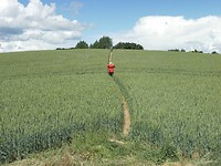 SAM_0441