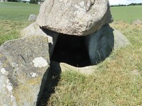 SAM_0443