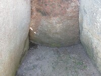 SAM_0445