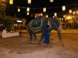 Een olifant uit de voorstelling van Siam Miramit.