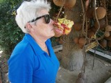 Hanny ruikt aan een bloemvorm van een "ballenboom".
