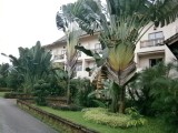 Museceae plant in Phowadol Resort.