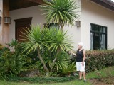Hanny kwam een grote Yucca tegen.