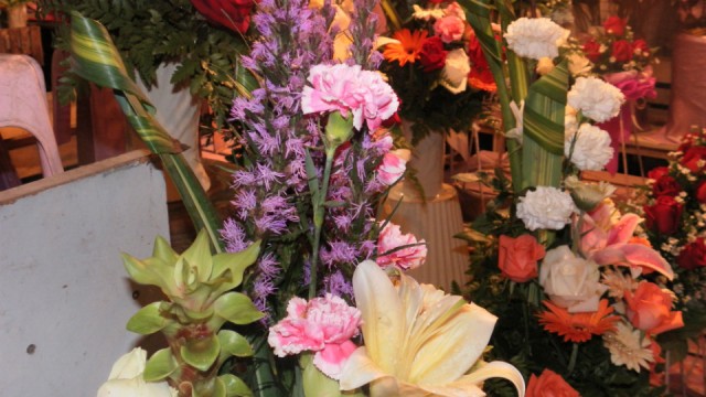 Gezien op de bloemenmarkt.