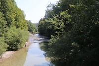 IMG_2436
