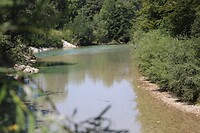 IMG_2441