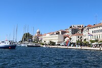 IMG_2568