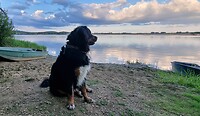 Camping du Lac