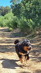 I am gonna get you!