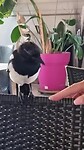 Nieuw vriendje!