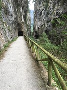Senda del oso , berenpad