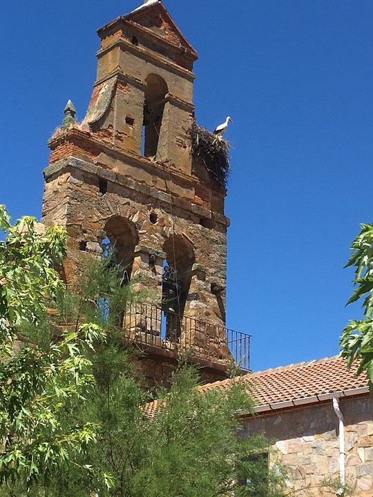 Kerktoren met nest en ooievaar