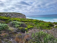 De kust van Kangaroo Island