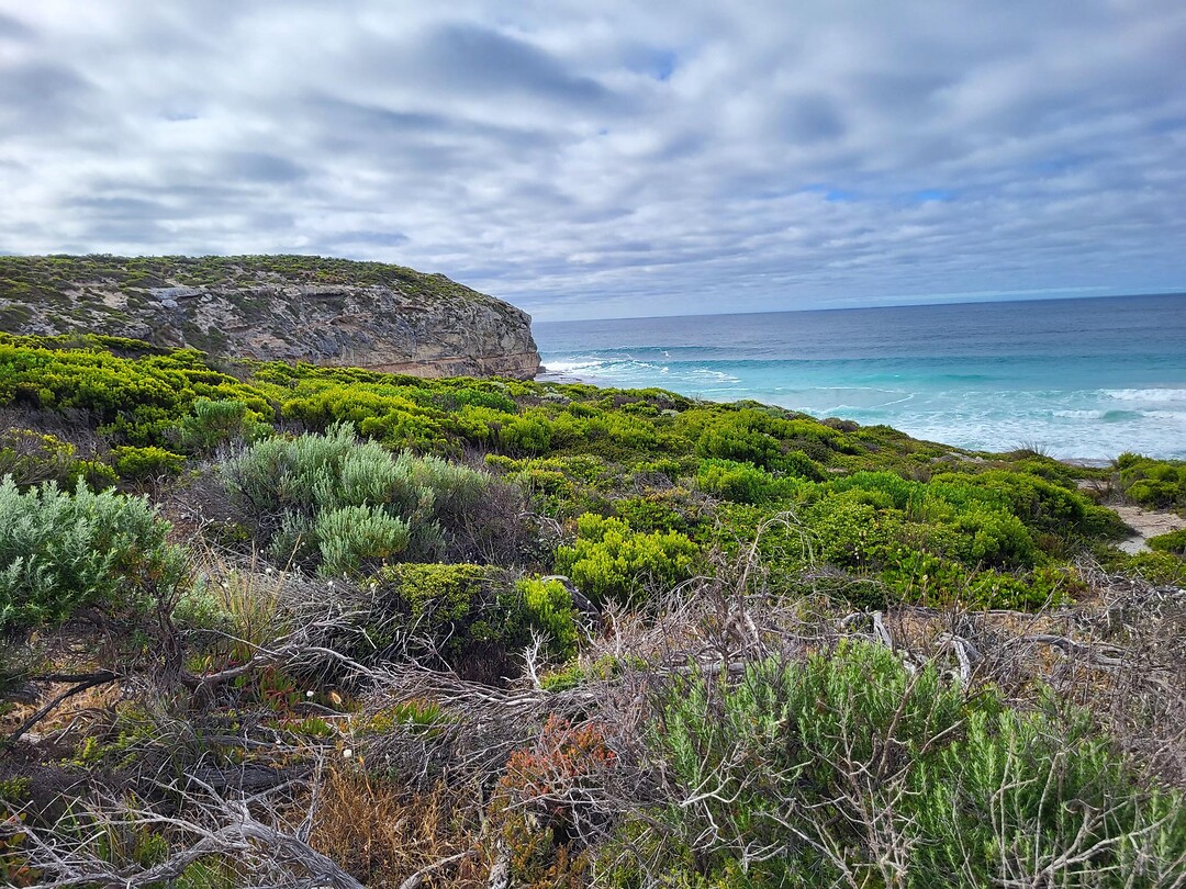 De kust van Kangaroo Island