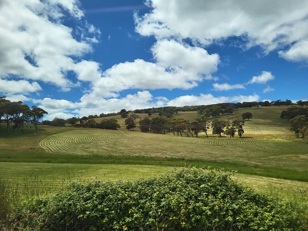 Onderweg naar Adelaide