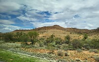 Onderweg van Alice Springs naar Ayers Rock