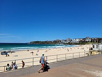 Bondi Beach