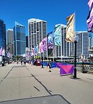Pyrmont Bridge