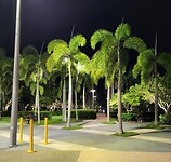 Begin park in Cairns