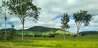 Onderweg van Brisbane naar Cairns